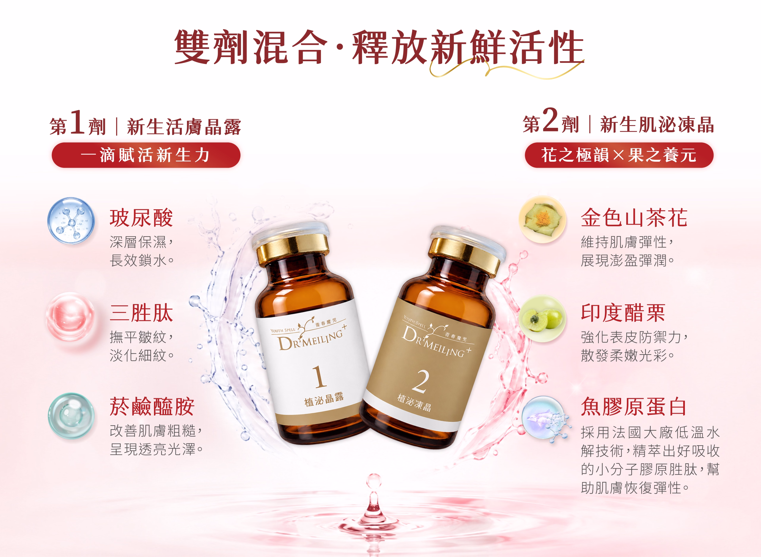 植泌凍晶組商品介紹3